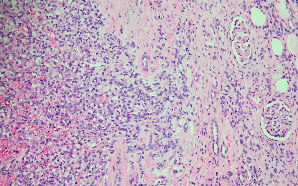 USA Health Pathology tweet media