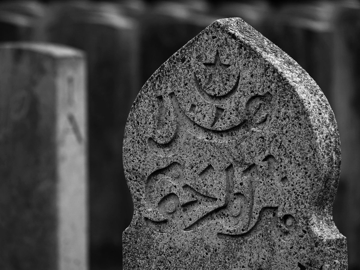 Andrew Holmes tweet media