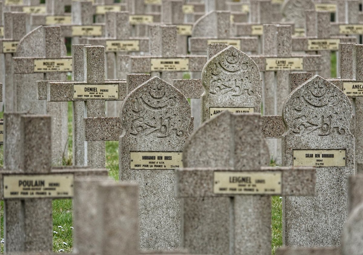 Andrew Holmes tweet media