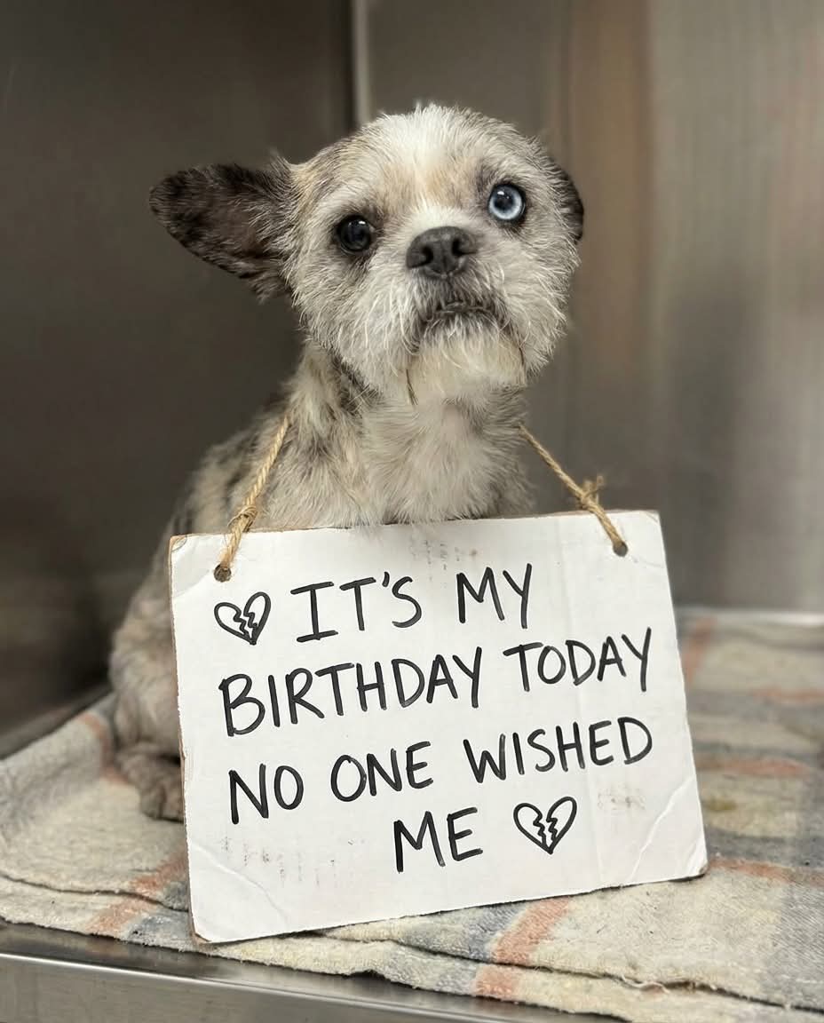 Kristina Bolten tweet media