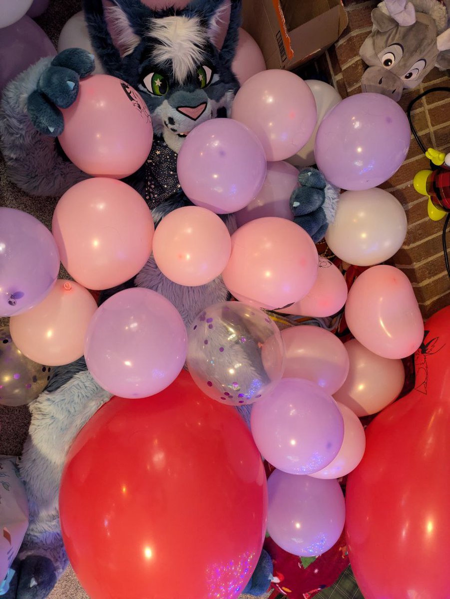 B. Lunar Lynx "Blunar" tweet media