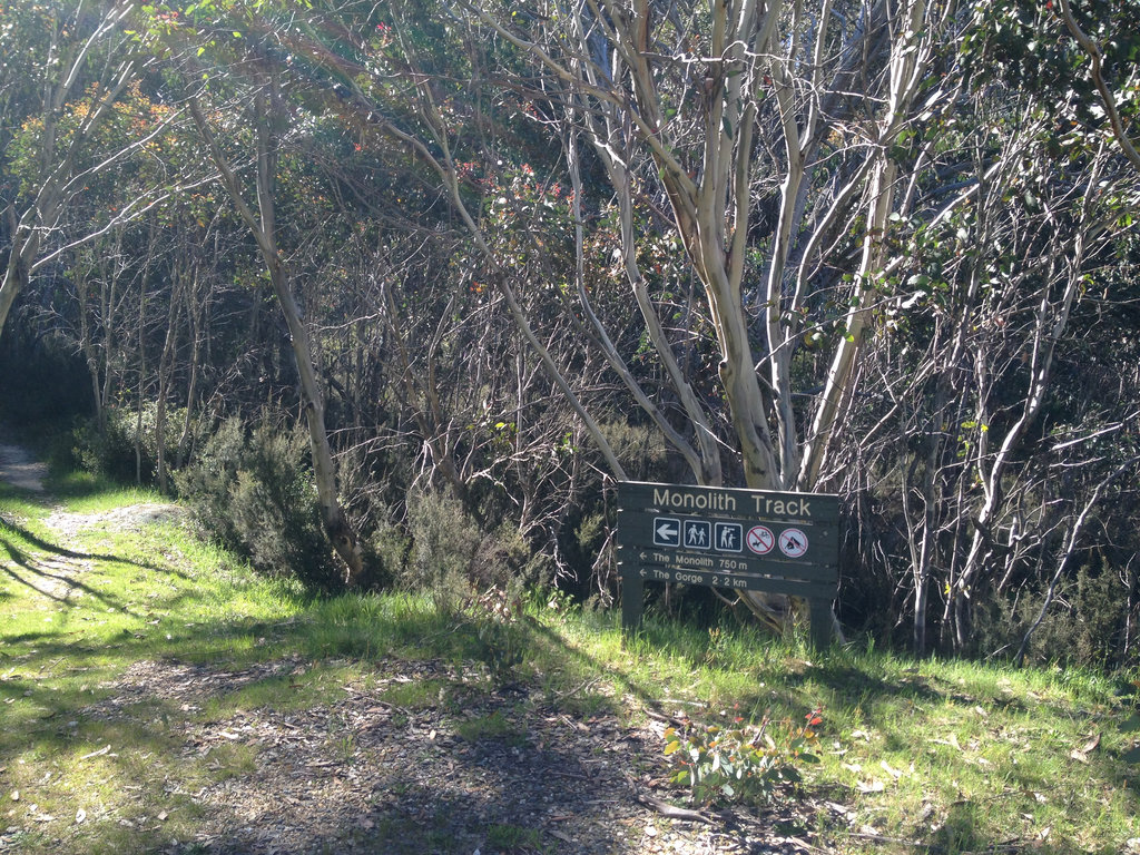 GlobalDailyNew's tweet photo. #Tour of the Week!  It's a Walk near #MountBeauty, Victoria, Australia! View here: https://t.co/ma0V2qRnXp #TourGuide https://t.co/8hlrckGOKU