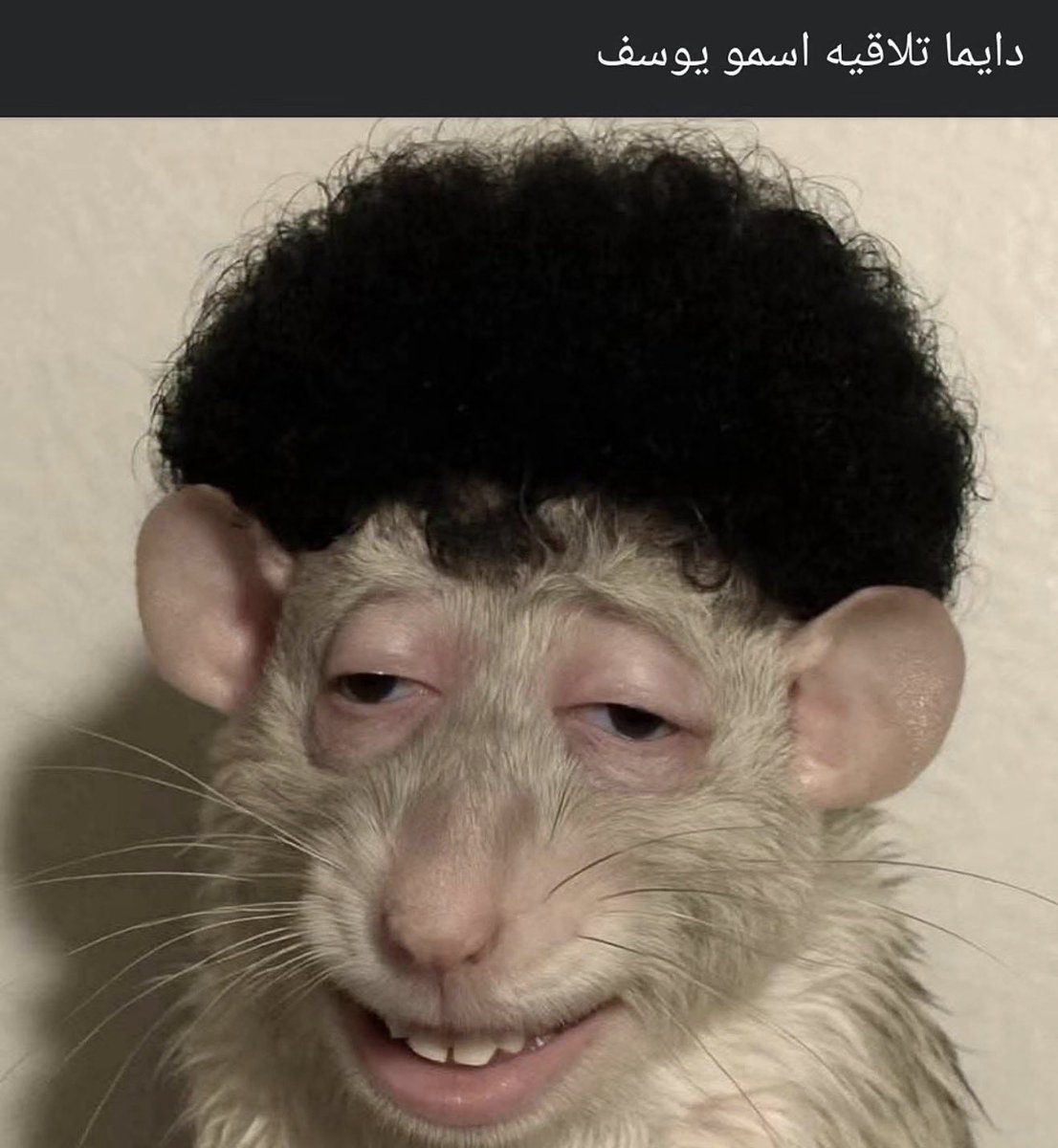 abdulrahman tweet media