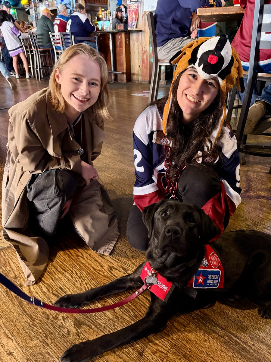 Freedom Service Dogs tweet media