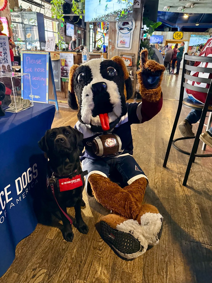 Freedom Service Dogs tweet media