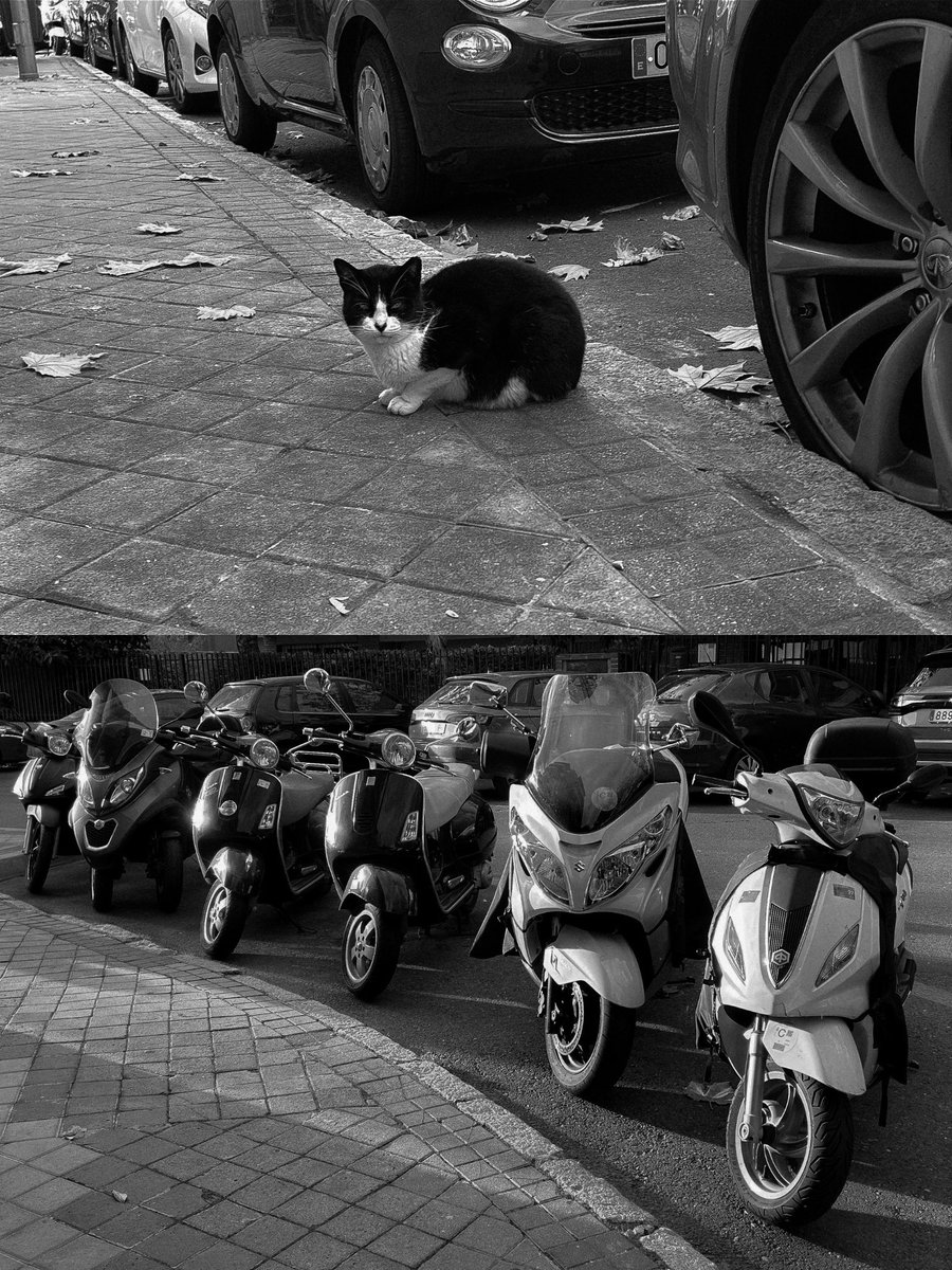 bzuss 🧜🏻‍♂️ tweet media