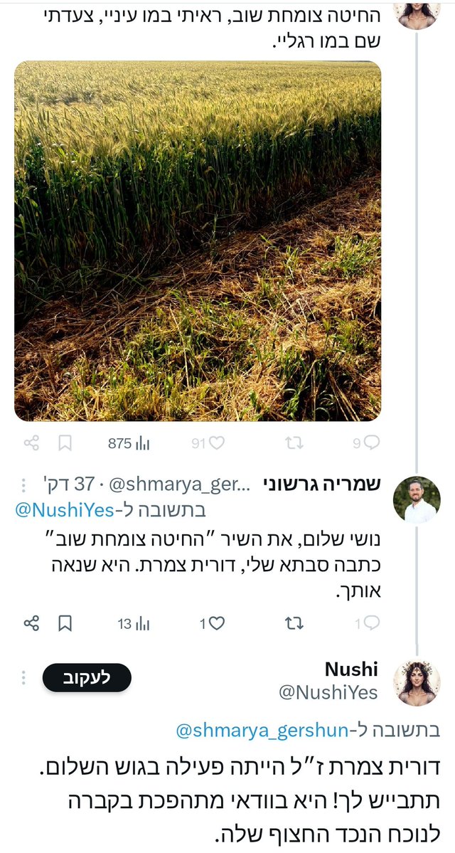 שמריה גרשוני tweet media