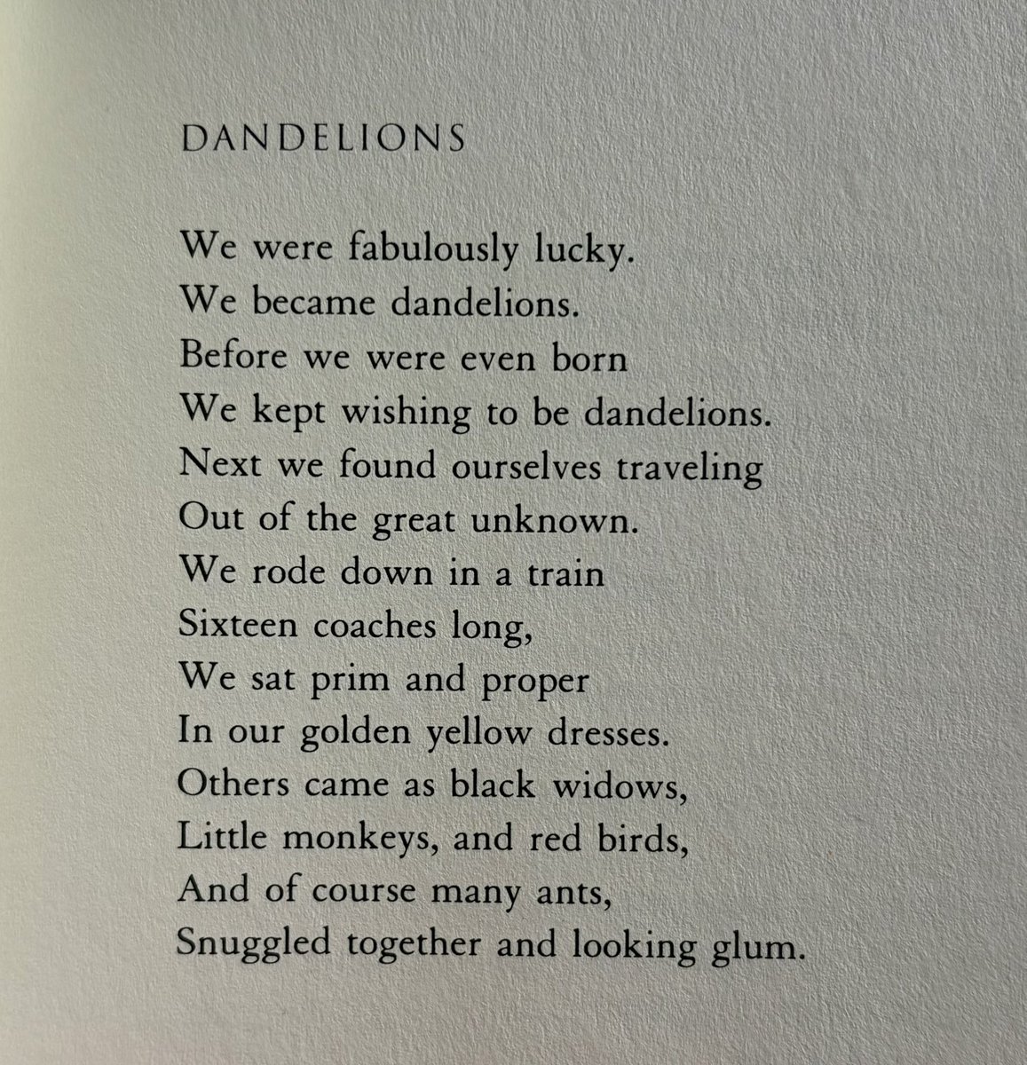 Tom Snarsky tweet media