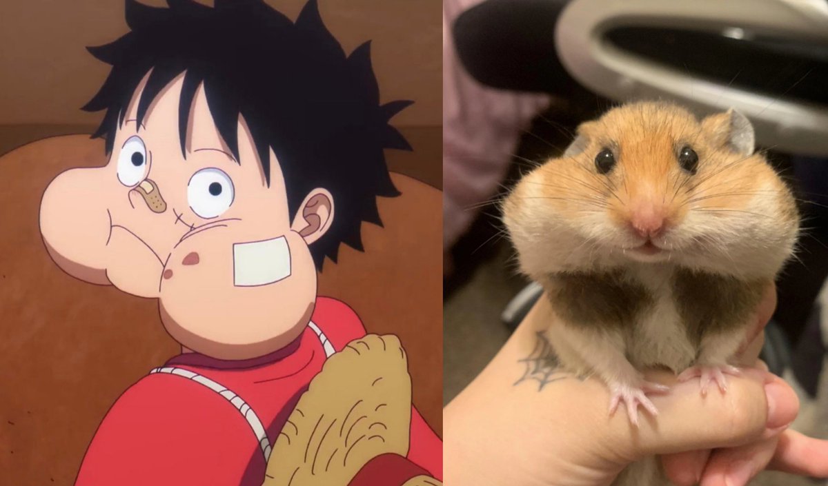 Grizzly Magnum tweet media