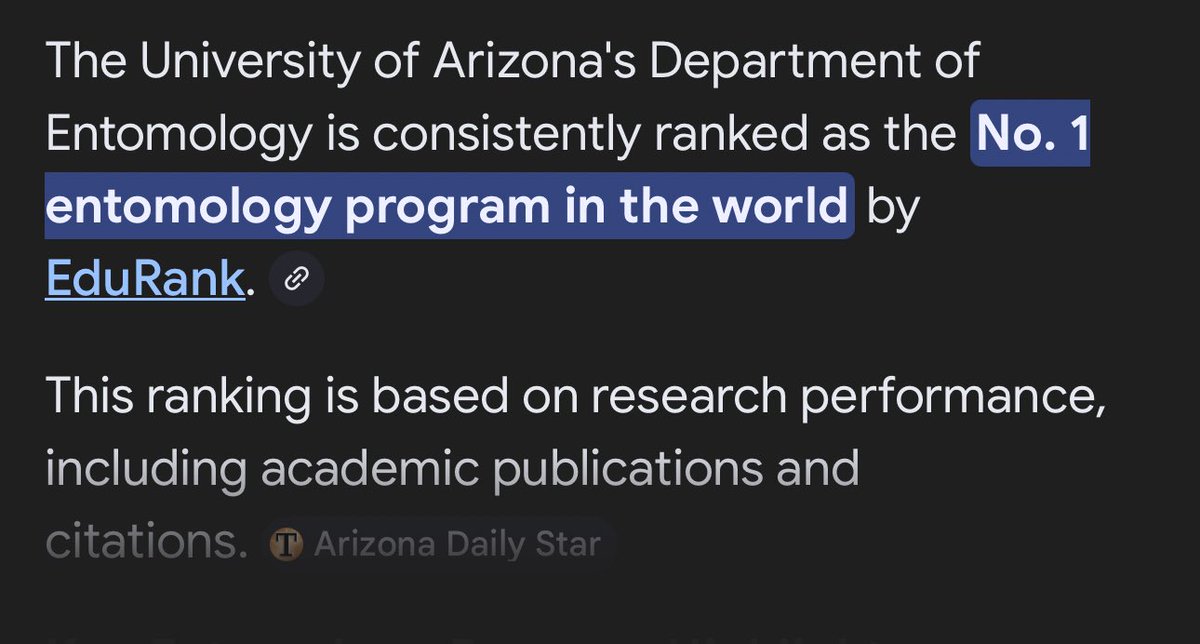 Overnight Degenerate tweet media