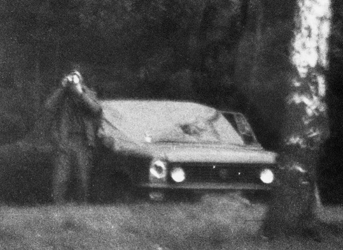 blackstar tweet media