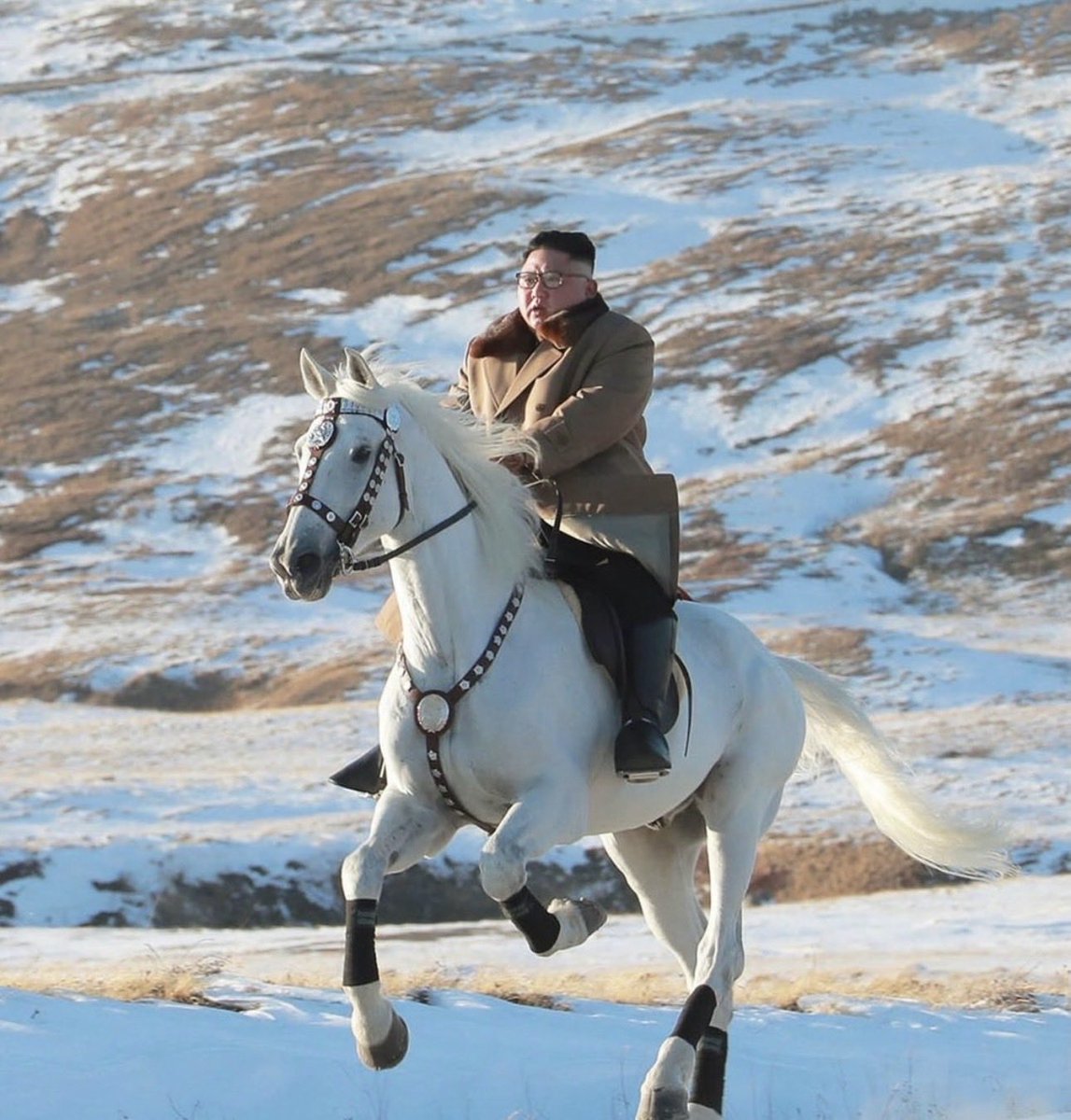 GholaXBT tweet media