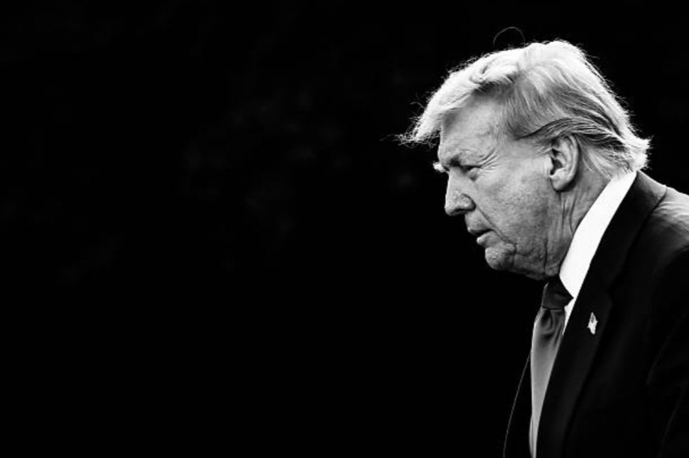 The Conservative Alternative tweet media