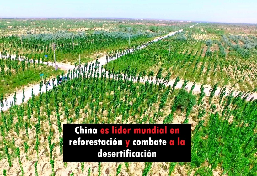 ReinaldoAlons13's tweet photo. El #liderazgo mundial en crecimiento #forestal está en manos de #China En los últimos años el país asiático ha logrado #reforestar más de 36,5 millones de hectáreas, de las cuales más de 10 millones corresponden a la recuperación de tierras desérticas 🇨🇳
https://t.co/ppKYVcB9gw https://t.co/HB2WsOMC8t
