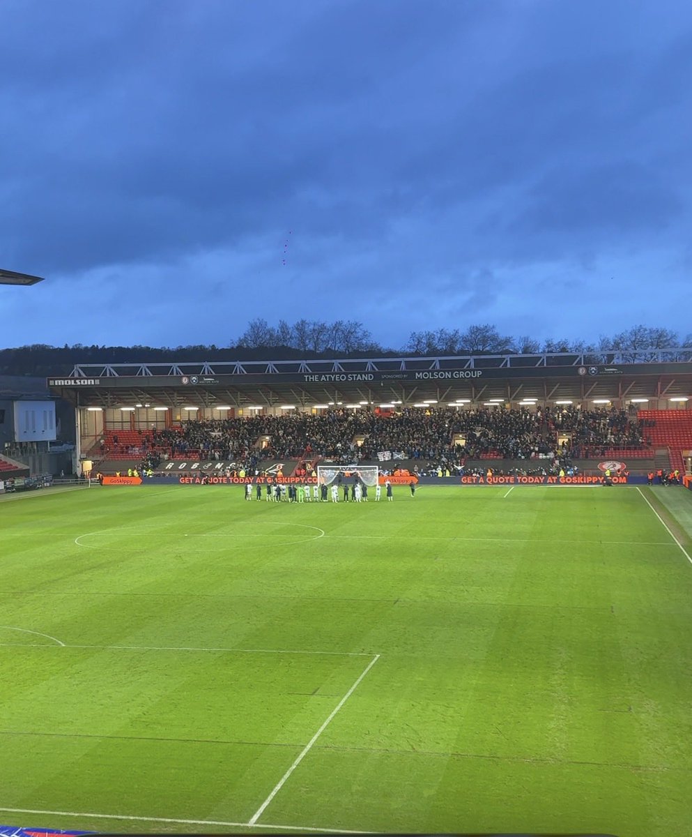 Harry Watts tweet media