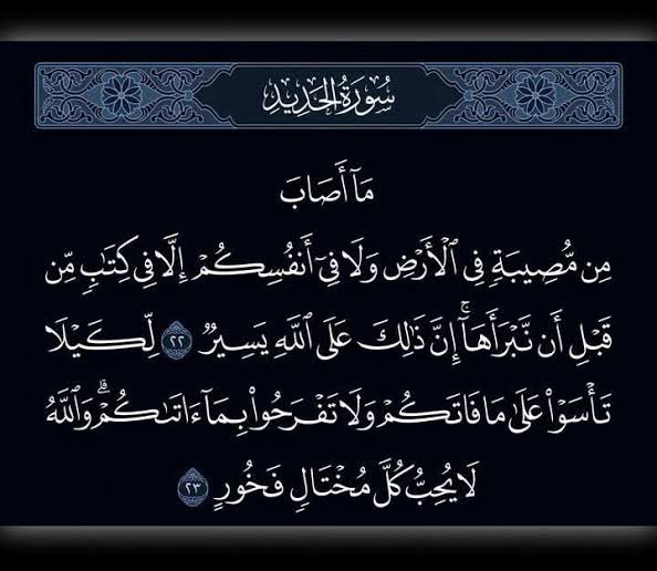 MDiaa🫀 tweet media