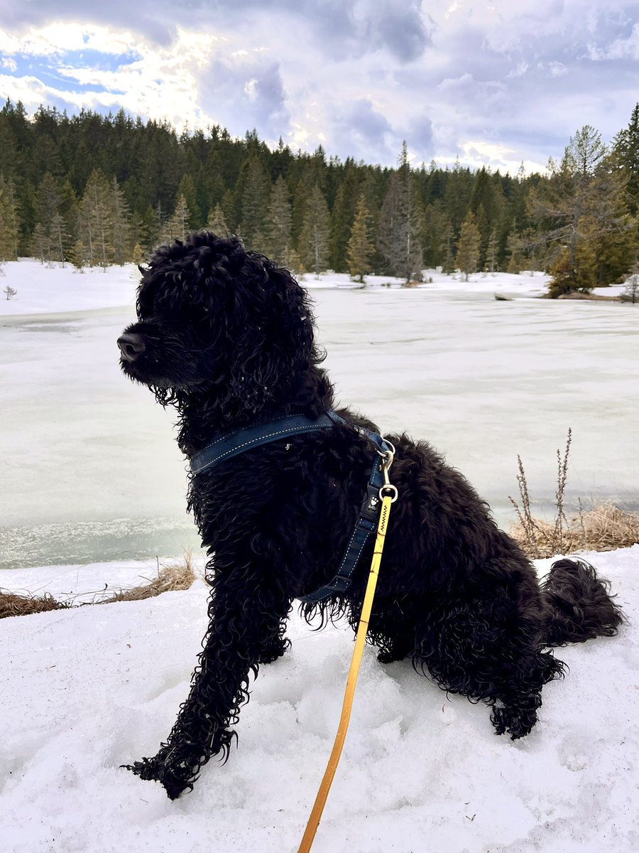 Ana Brunčič tweet media