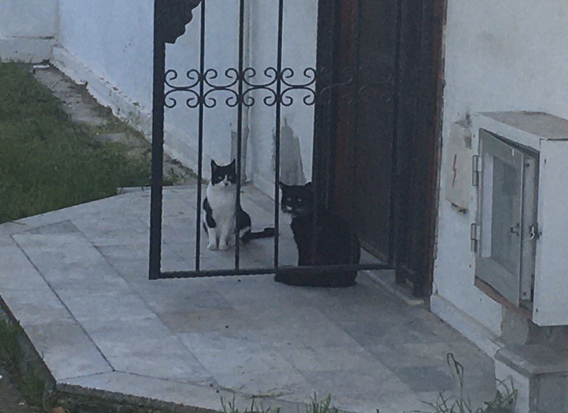 Seautist tweet media