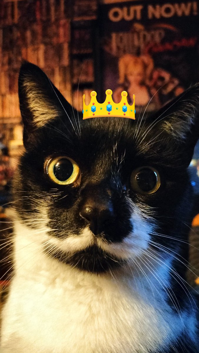 Walter Peck 👑 tweet media