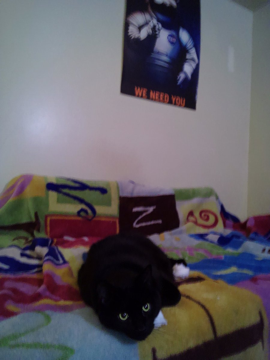 Eugene Barbe (@barbeeugene) on Twitter photo 