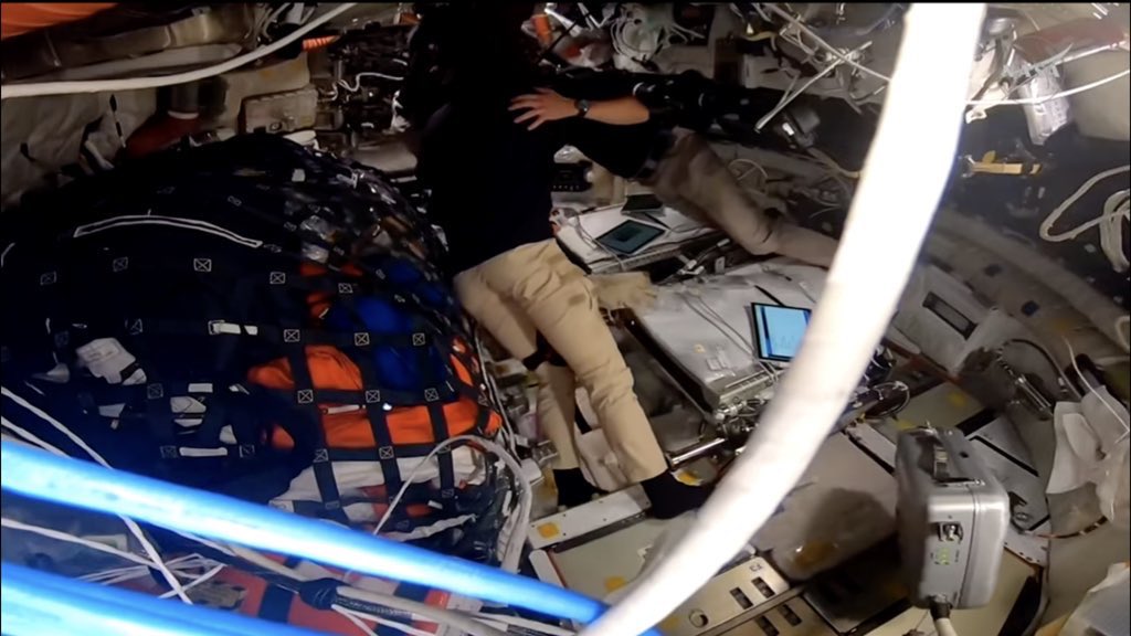 project hail dado ⚢ tweet media