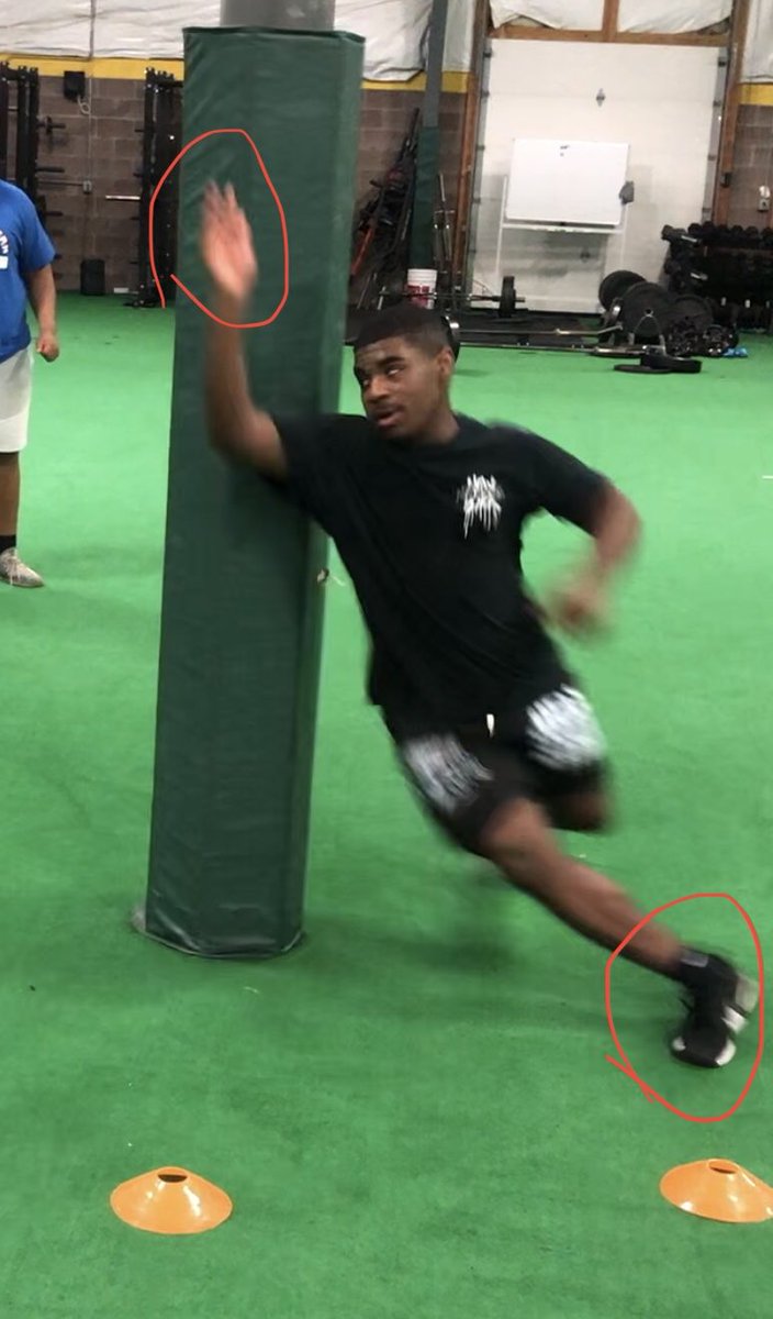 Thor Sports Performance tweet media