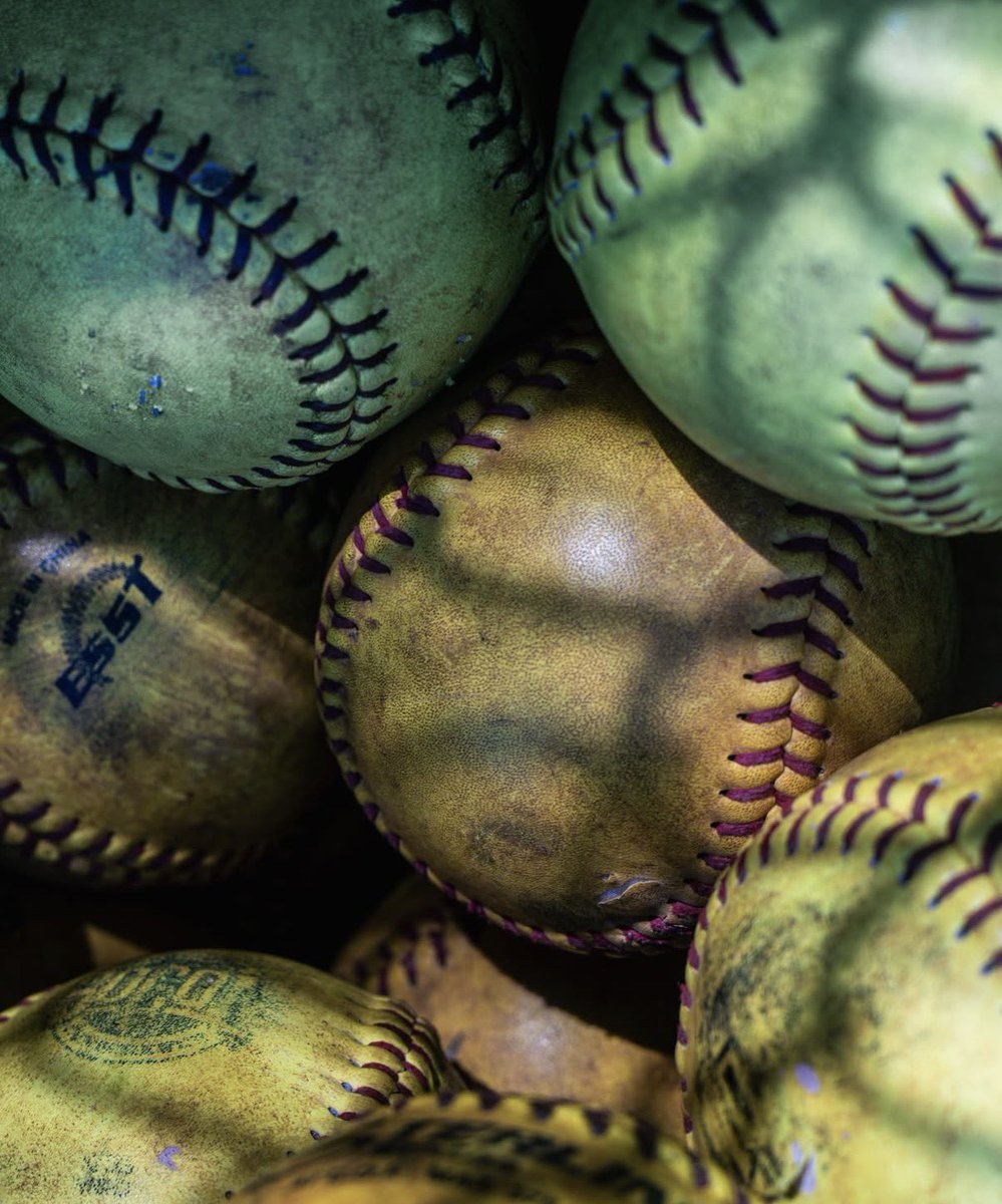 FHSLionsSoftball tweet media