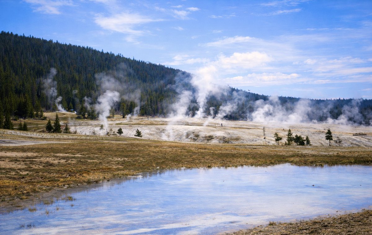 Coyote Blues tweet media