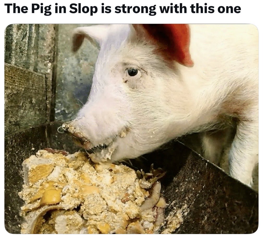 Mark Stine tweet media