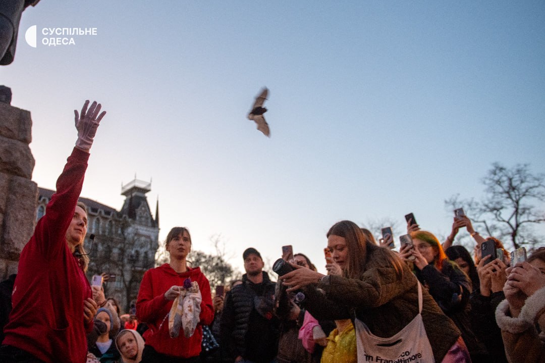 Anfisa Motora tweet media