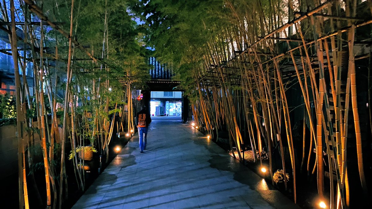 Sven D 🇩🇪💚🐰🔥💜 tweet media