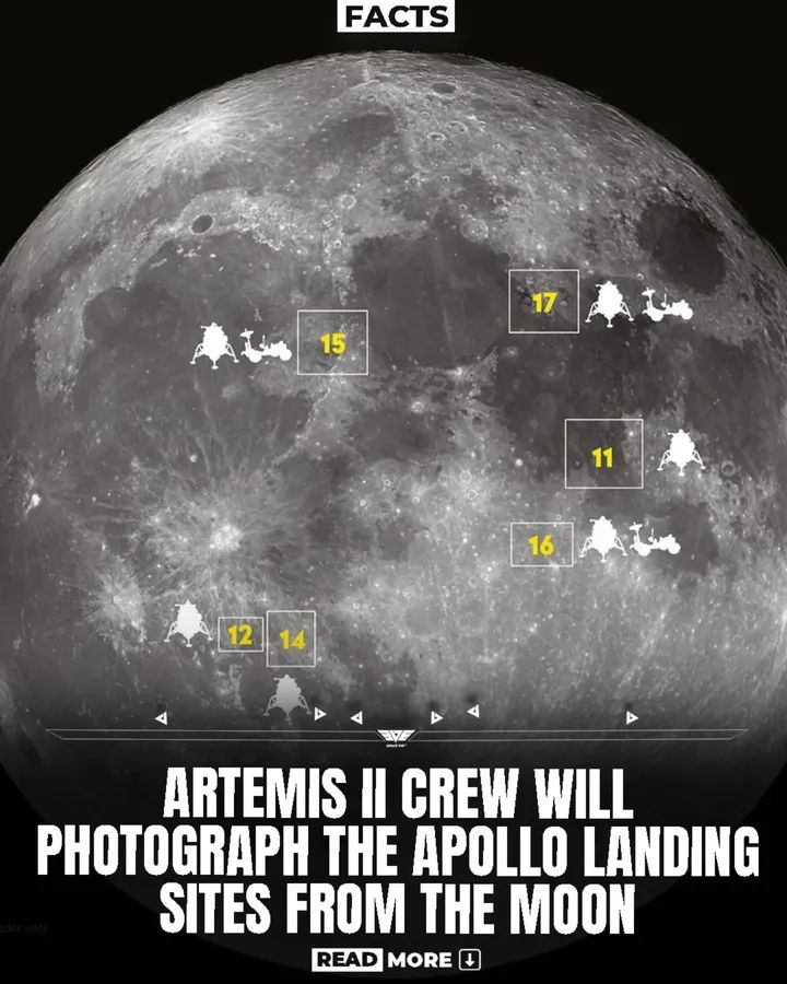 Black Hole tweet media