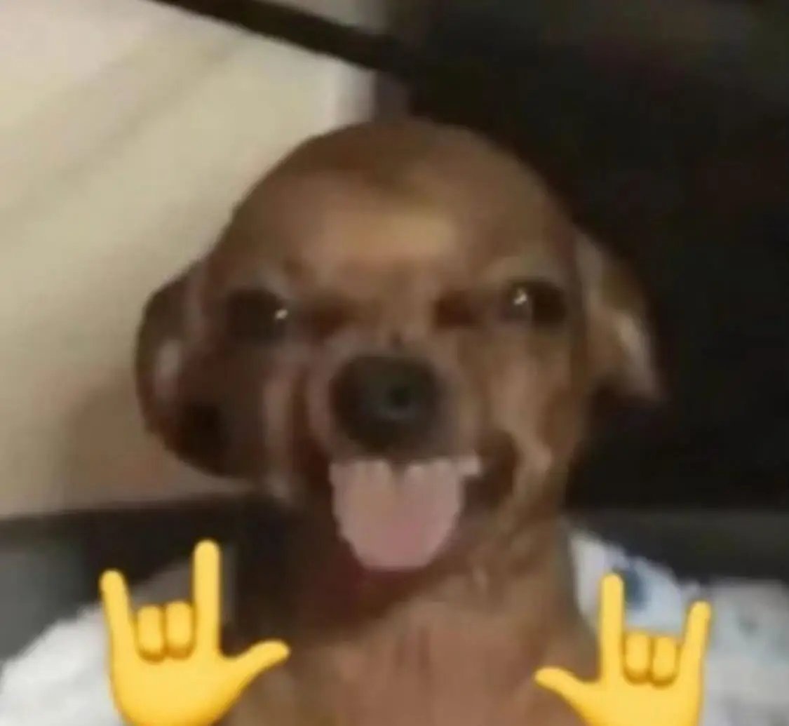 Luísa caótica tweet media