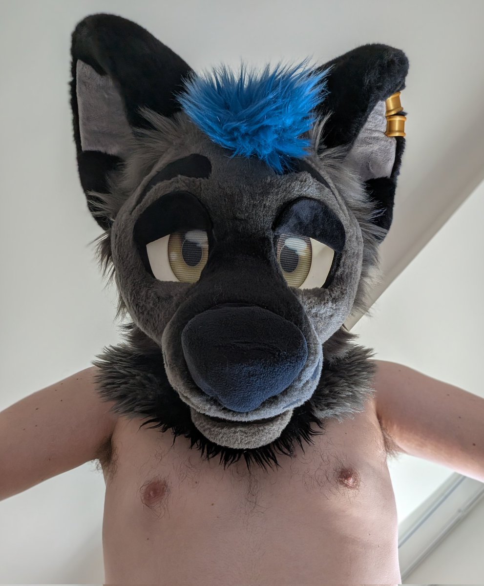 LocalServiceWuff ๐ โฉ LVFC tweet media