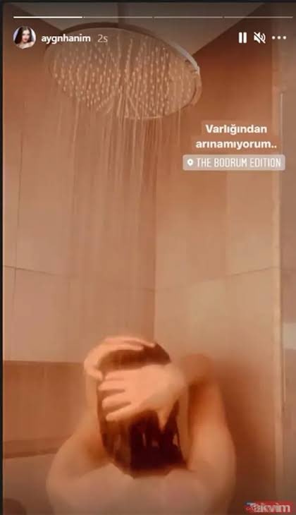 Another brick tweet media