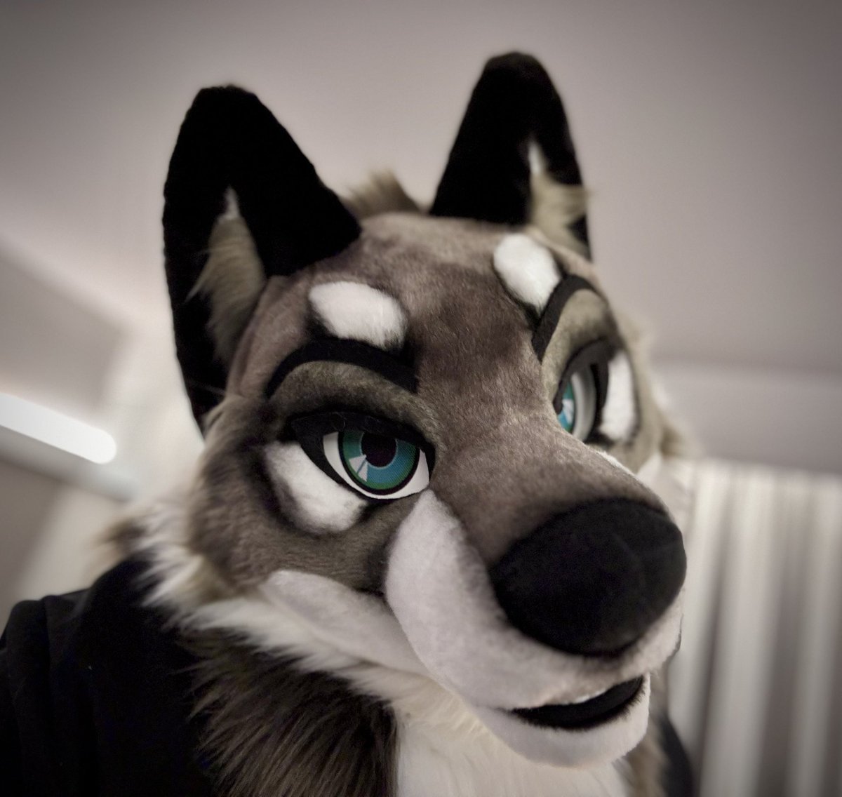 Raigho Husky / Riven Wolf tweet media