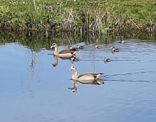 Het was een mooie Paasmaandag.