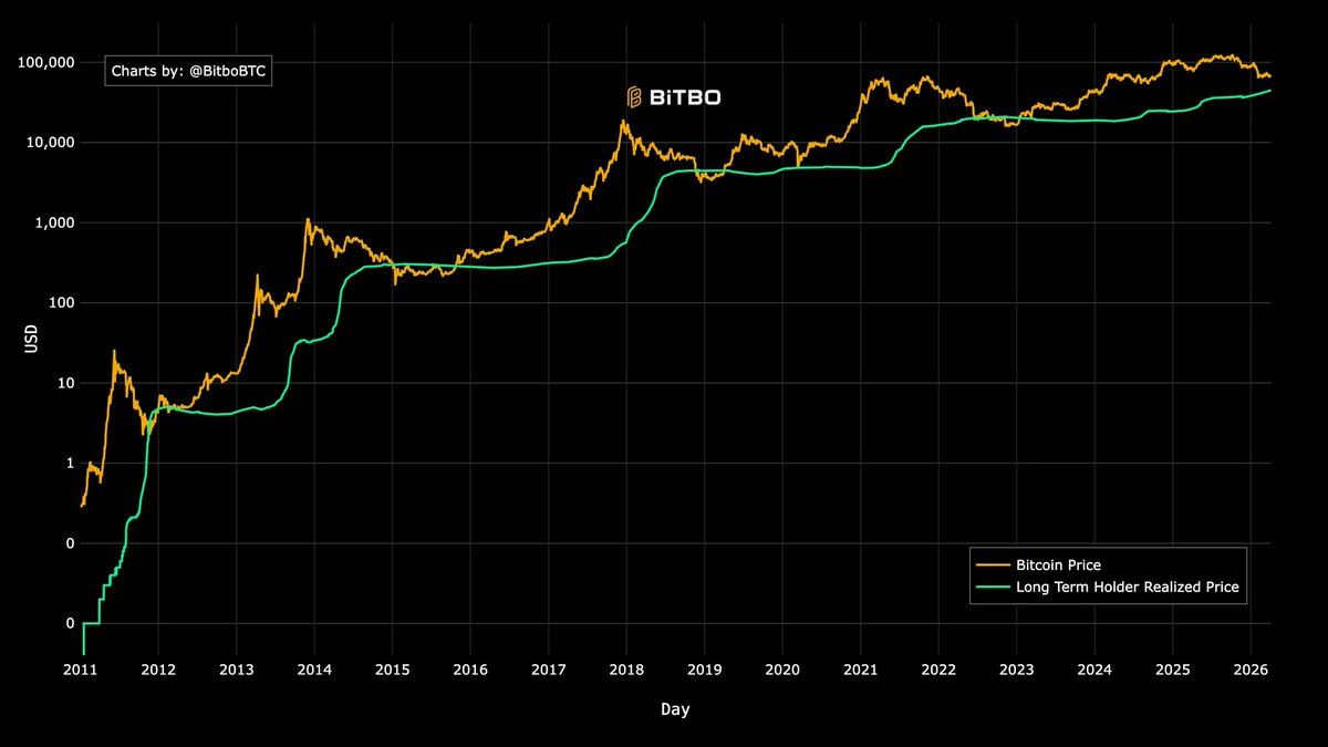 El Profesor tweet media
