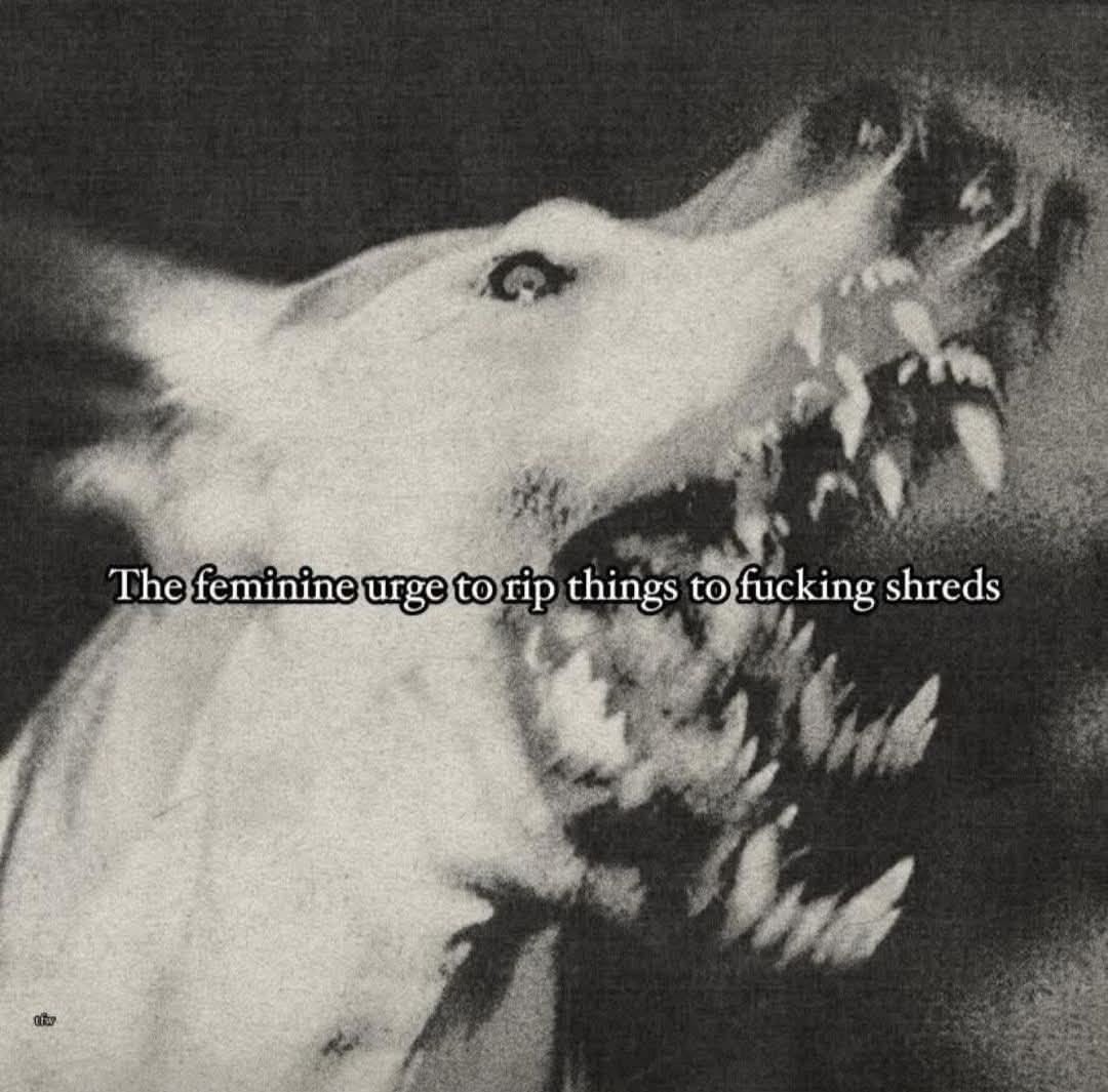 goth aesthetics tweet media