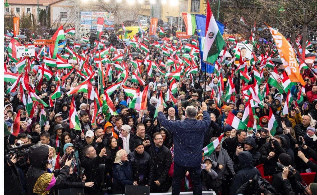 Katalin Dani tweet media