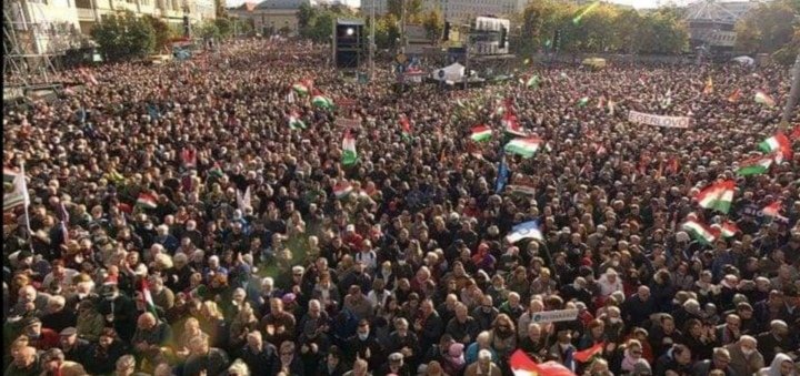 Katalin Dani tweet media