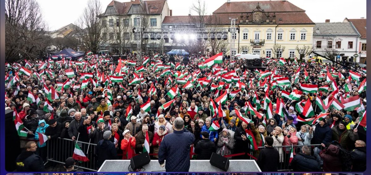 Katalin Dani tweet media