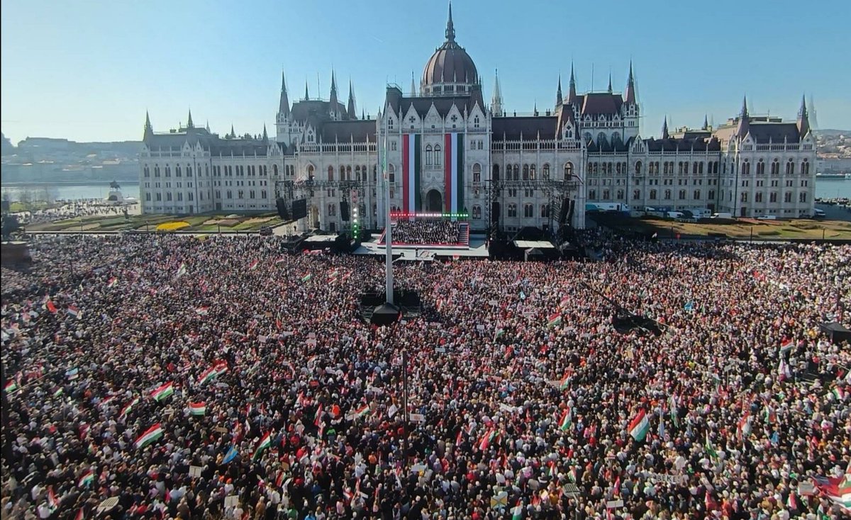 Katalin Dani tweet media