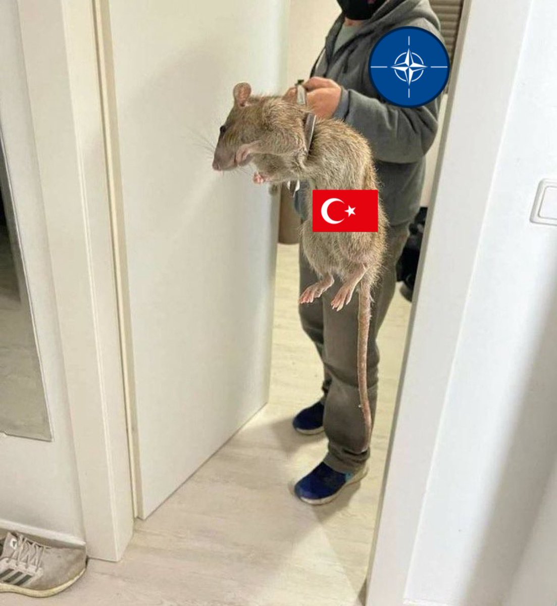 The Uncivilised One tweet media