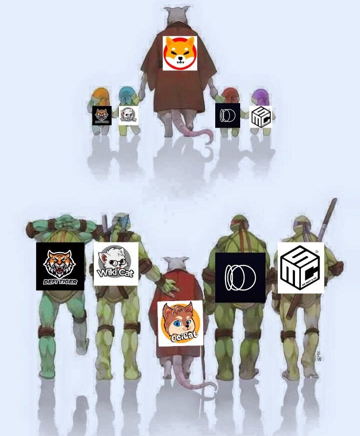 🐳𝓜𝓮𝓶𝓮 𝓦𝓱𝓪𝓵𝓮 🐳 🌟 tweet media