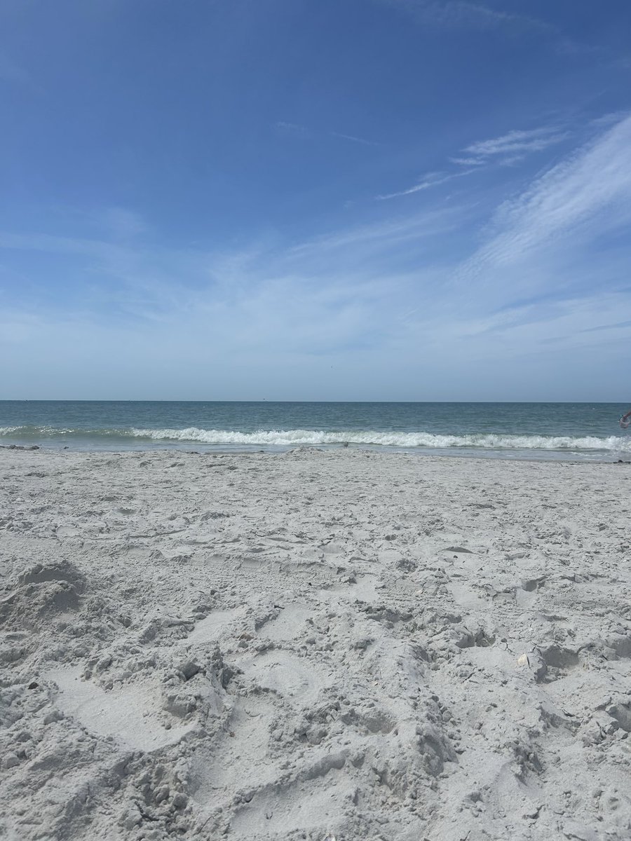 Connor Speed tweet media