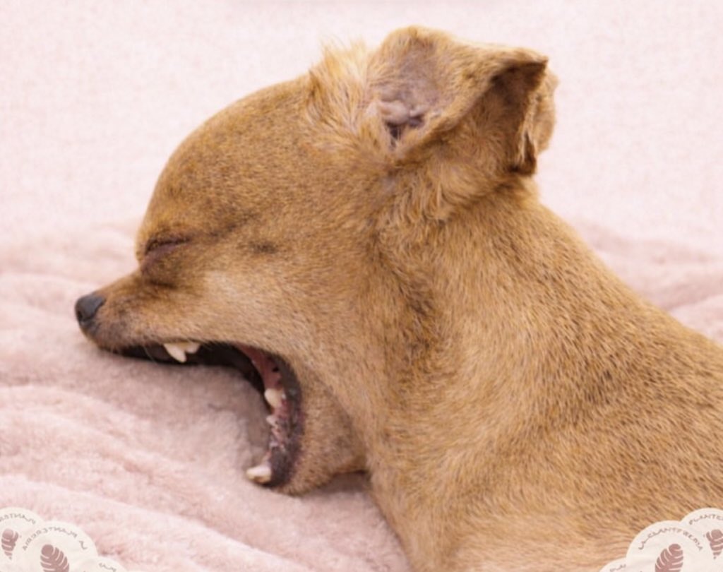 S A R A 🌼 tweet media