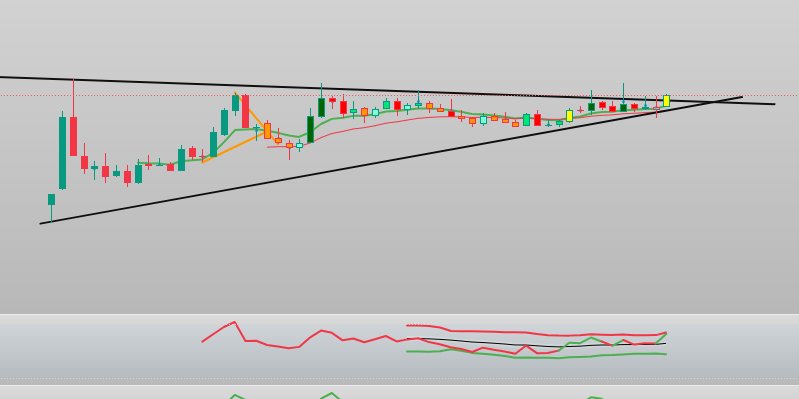 BULLİSH MAN tweet media