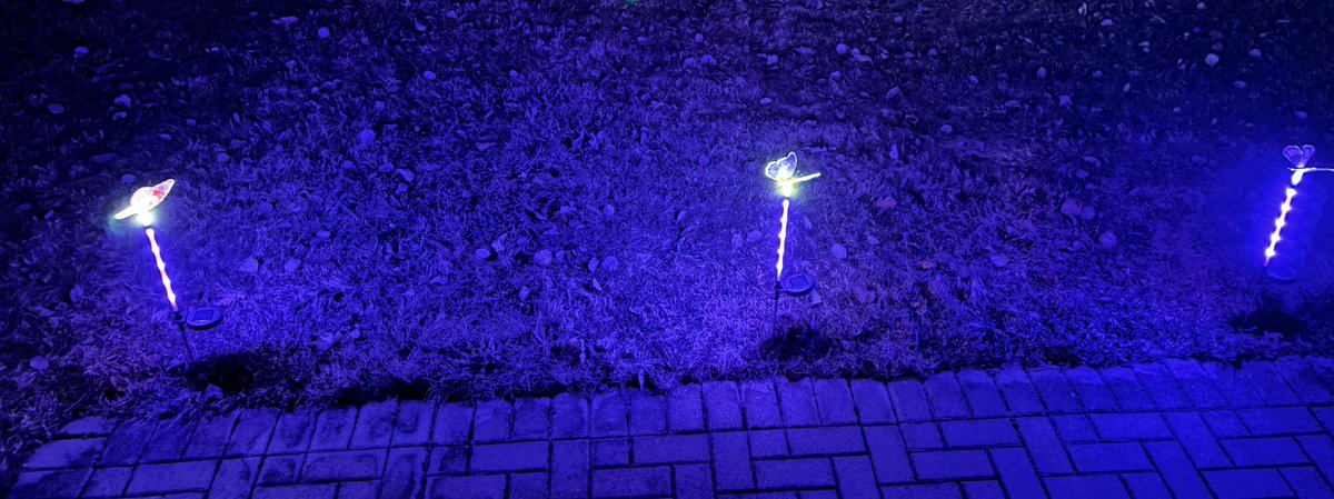 Loving my little lights i put back on for spring and Summer today. 
🥰