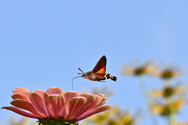 Alan Martin tweet media